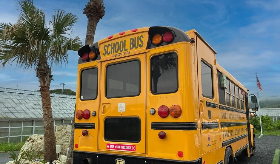 OCLWdcALdcdK3VTddyC1